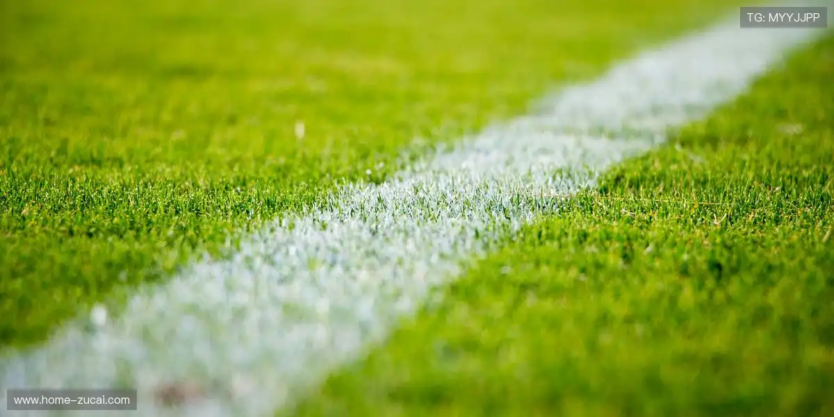 📡 高清大屏投影支持